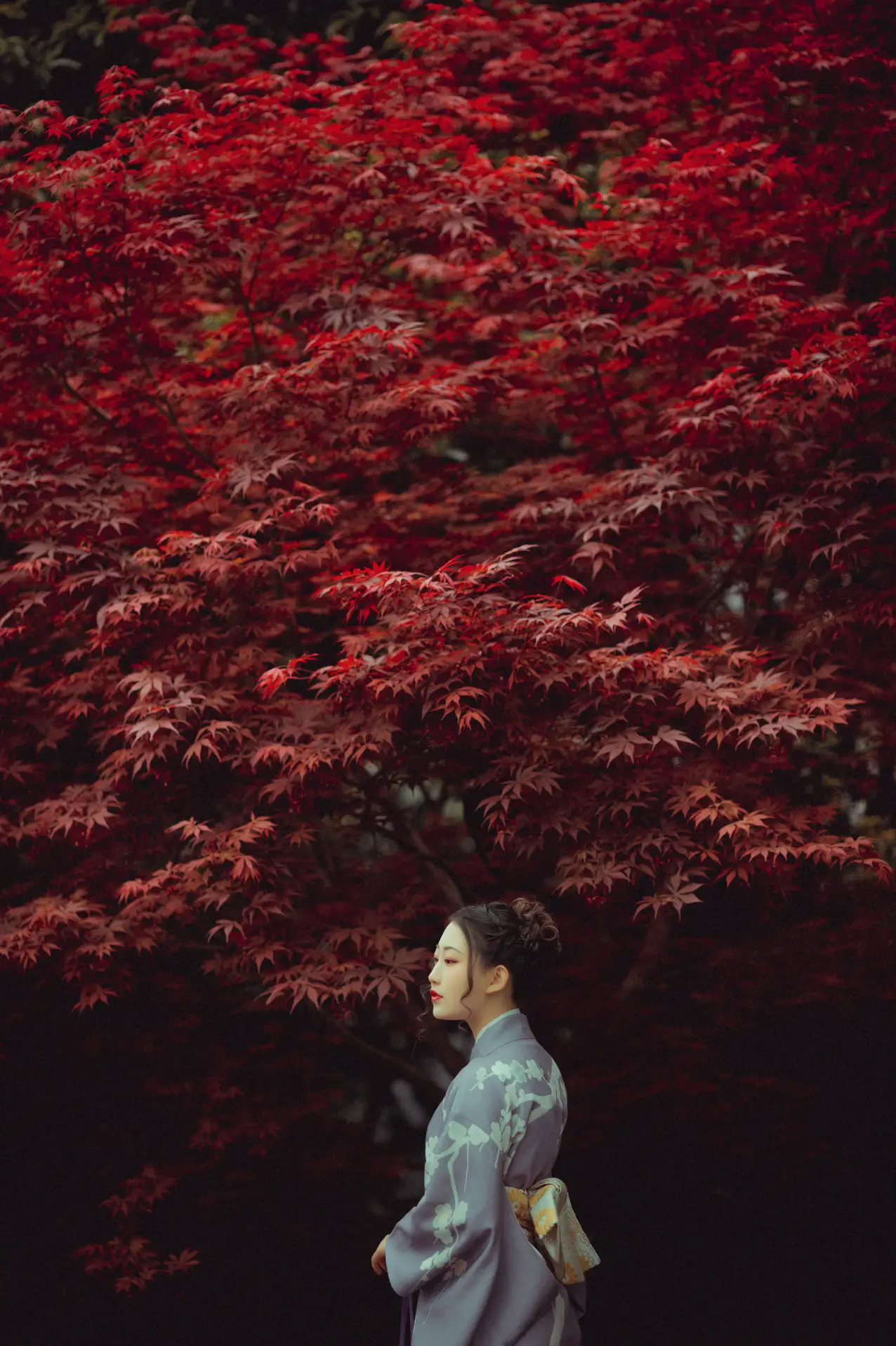 [YITUYU] 2021.09.02 Vol.219 – Deep in the Red Leaves No worries#[29P]-27